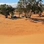 Perry Sandhills