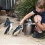 SEA LIFE Sydney Aquarium