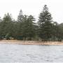 The Basin Campground