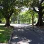 The Domain