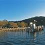 Currawong Beach Cottages & Basin Campground -  Ku-ring-gai Chase National Park