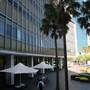 Sydney CBD - Phillip Street