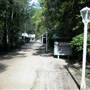 Timbertown