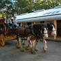 Timbertown