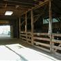 Timbertown