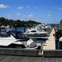 Woolloomooloo - Finger Wharf