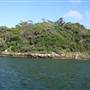 Various Sydney Harbour views from water