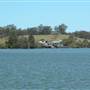 Taree