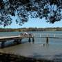 Taree