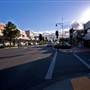 Taree