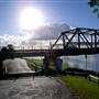 Taree
