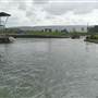 Penrith Whitewater Stadium