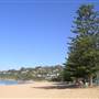 Whale Beach
