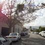 Point Piper Homes
