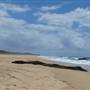 Tuckers Rocks Beach & Cottage - Bongil Bongil National Park