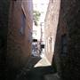 Surry Hills - Sophia Lane