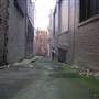 Surry Hills - Sophia Lane