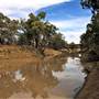 Walgett Area