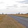 Walgett Area