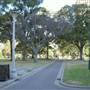 Hyde Park and Archibald Fountain - Sydney CBD
