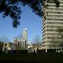 Hyde Park and Archibald Fountain - Sydney CBD