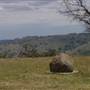 Road from Coolah Tops to Coolah