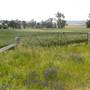 Road from Coolah Tops to Coolah