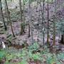 Red Cedar Flat picnic area