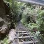 Scenic World