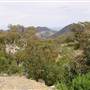 Warrumbungle National Park