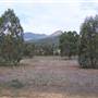 Warrumbungle National Park