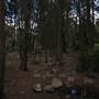 Wollondilly River Station