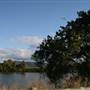 Tweed Valley 2 of 2