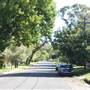Lindfield