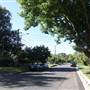 Lindfield