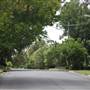 Bannockburn Rd - Pymble
