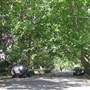 Bareena Ave - Pymble