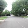 Coolabah Ave - Pymble