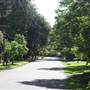 Kintore St - Pymble