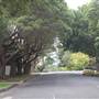 Ku-Ring-Gai Ave - Pymble