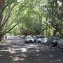 Water St - Pymble