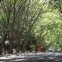 Water St - Pymble