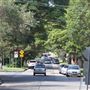Willoughby residential road