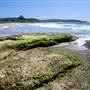 Catherine Hill Bay