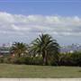 Dover Heights Homes