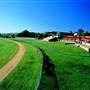 Armidale