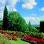 Armidale