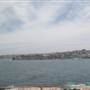 Bondi Icebergs