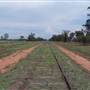 Baradine to Coonabarabran road