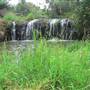 Cascade Falls Farm